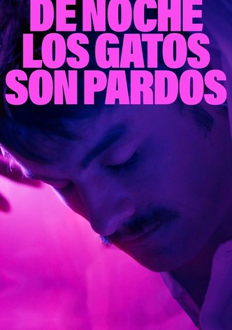 At Night All the Cats Are Black