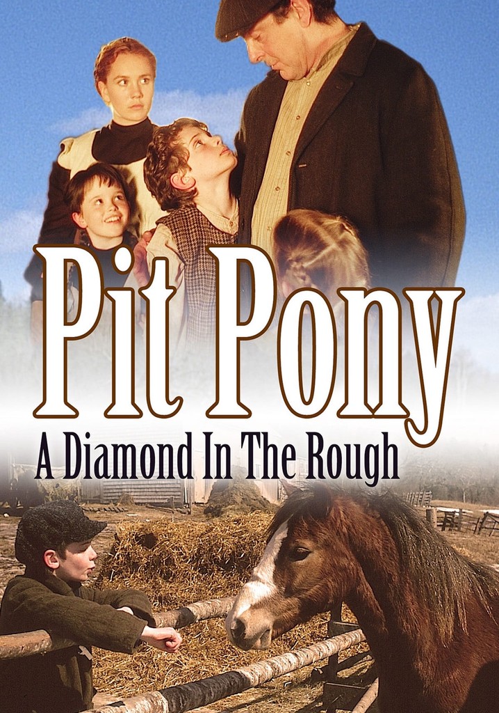 Pit Pony