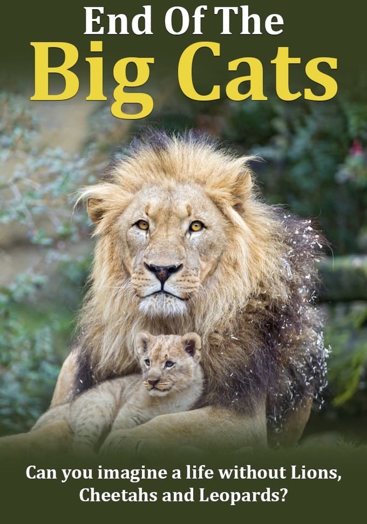 The End of the Big Cats