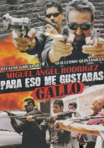 Para eso me gustabas Gallo