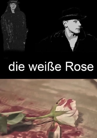 Die weiße Rose