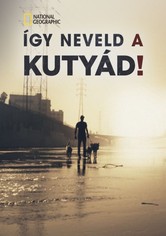 Így neveld a kutyád!