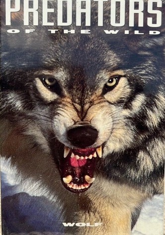 Predators of the Wild: Wolf