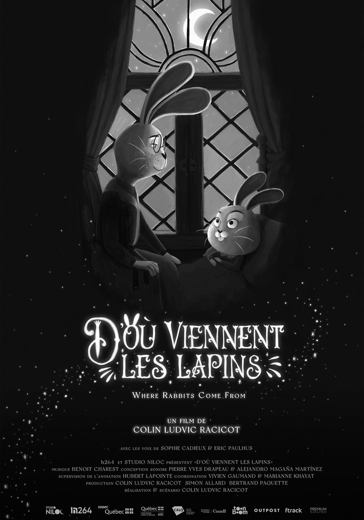 Where Rabbits Come From