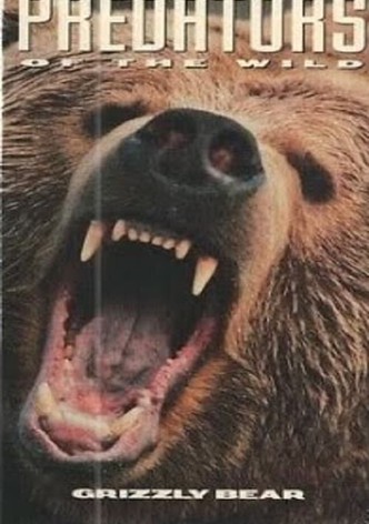 Predators of the Wild: Grizzly Bear