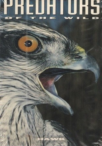 Predators of the Wild: Hawk