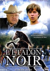 Black, der schwarze Blitz