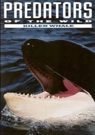 Predators of the Wild: Killer Whale