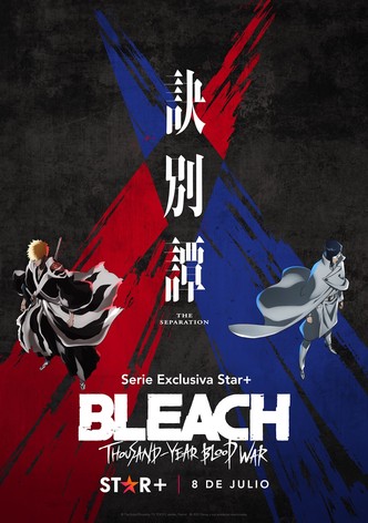 Ver Bleach temporada 1 episodio 2 en streaming