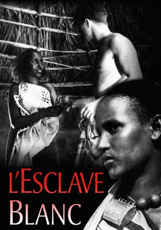 L'esclave blanc