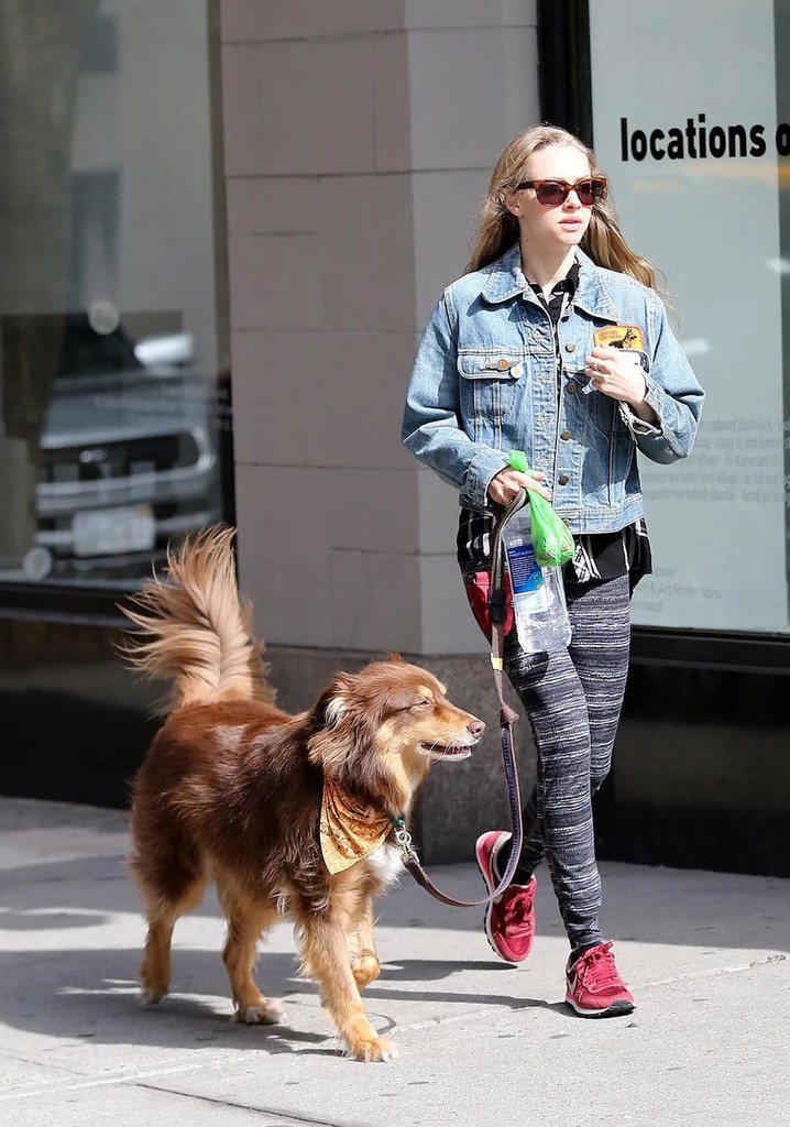 Amanda Seyfried’s Dog Finn Is the Ultimate Best Friend