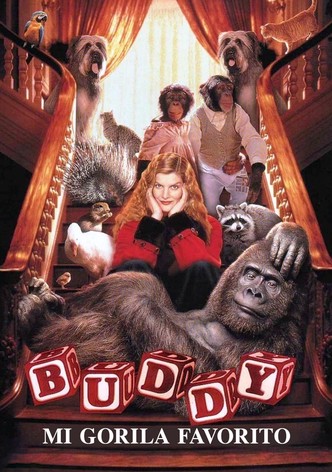 Buddy, mi gorila favorito