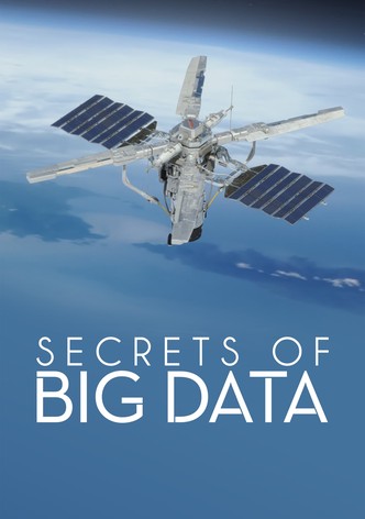 Secrets of Big Data