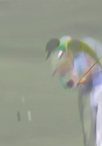 Albatross
