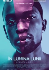 În lumina Lunii
