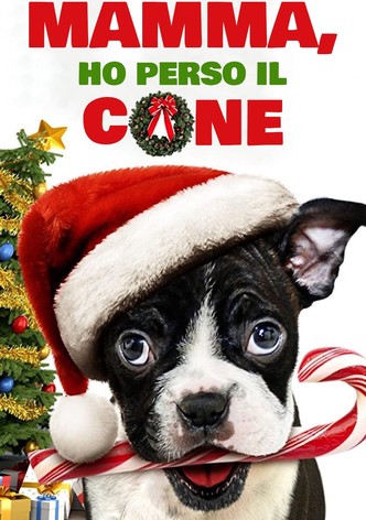 Mamma, ho perso il cane