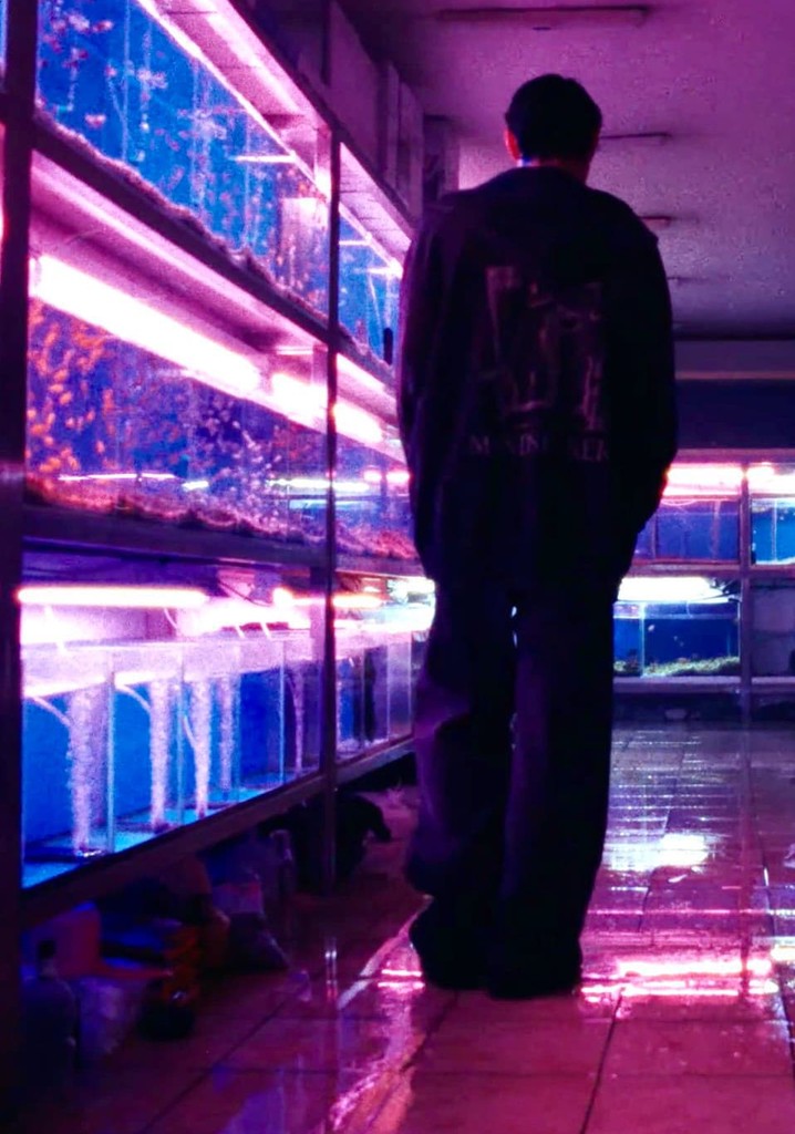 Mystery in Seoul (DOYOUNG ver.)