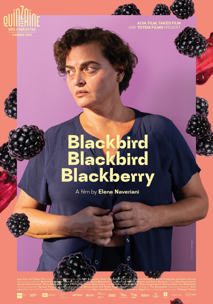 Blackbird Blackbird Blackberry streaming online