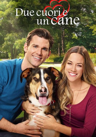 Due cuori e un cane