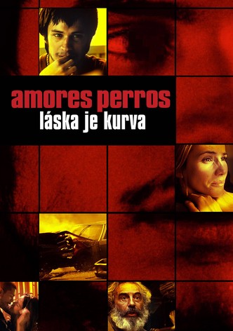 Amores perros – Láska je kurva