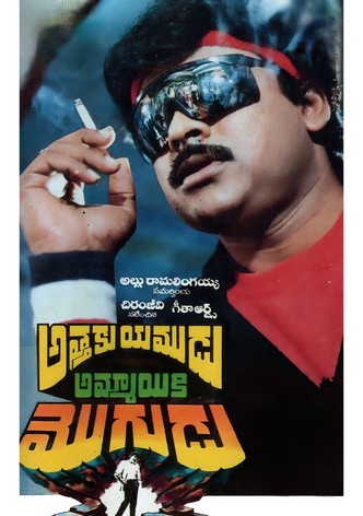 Attaku Yamudu Ammayiki Mogudu