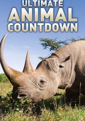 Ultimate Animal Countdown