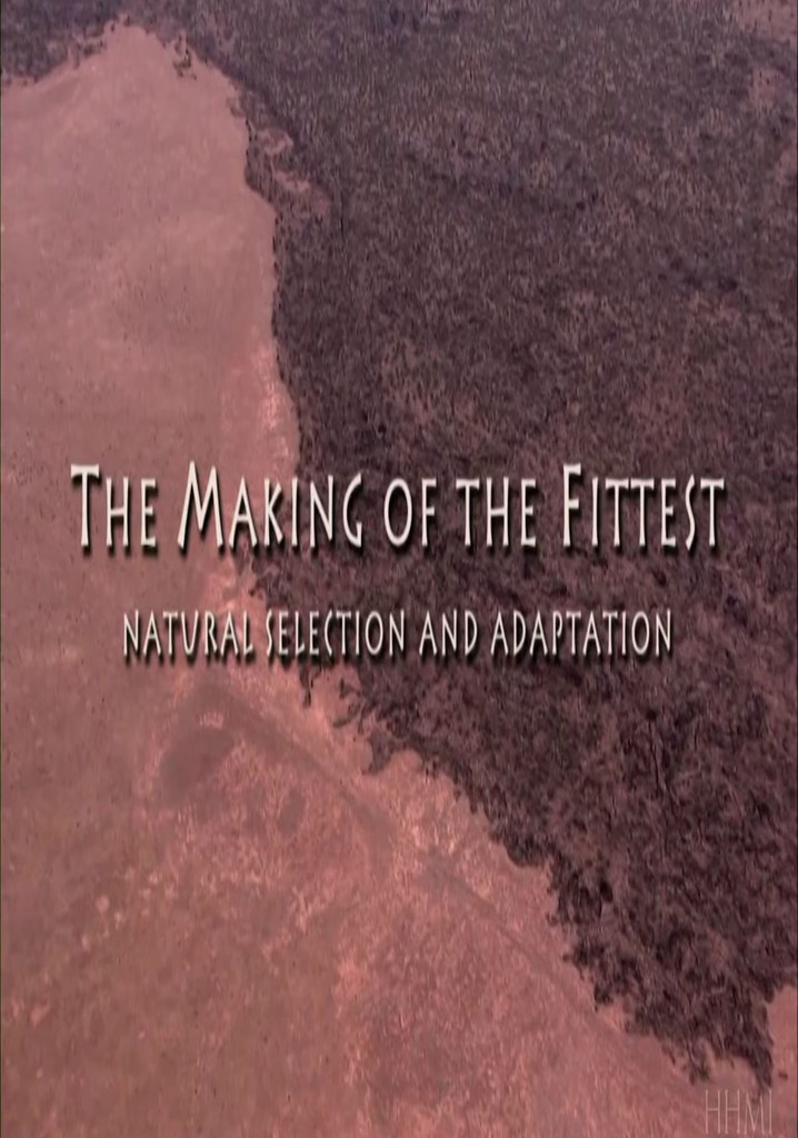 The Making of the Fittest: Natural Selection and Adaptation