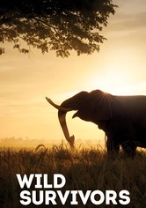 Tierische Überlebenskünstler