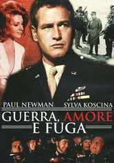Guerra, amore e fuga