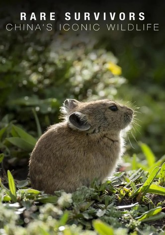 Rare Survivors China's Iconic Wildlife