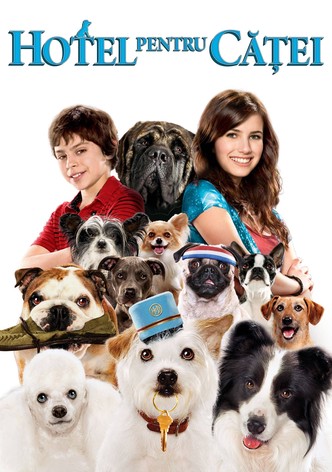 Hotel pentru căței