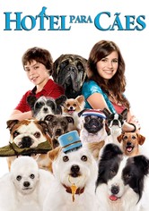 Hotel para Cães