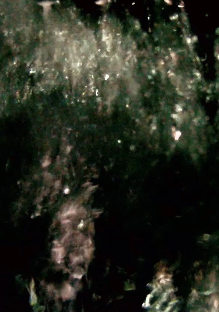 He Maketh a Path to Shine After Him; One Would Think the Deep to Be Hoary