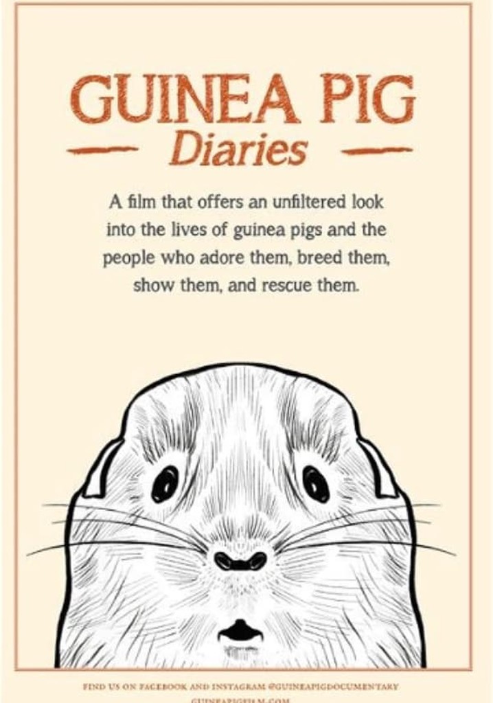 Guinea Pig Diaries