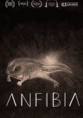 Anfibia