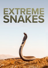 Extreme Snakes