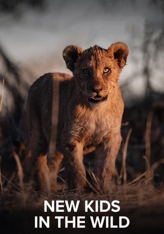 New Kids in the Wild