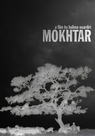 Mokhtar