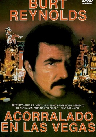 Acorralado en Las Vegas