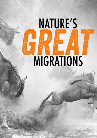 Nature's Great Migrations
