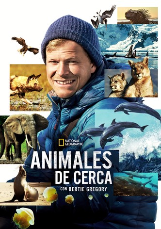 Animales en primer plano con Bertie Gregory