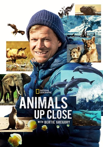 Animals Up Close with Bertie Gregory