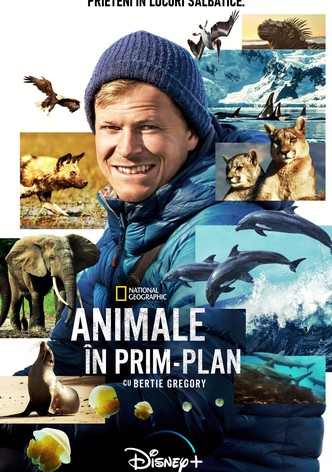 Animale în prim-plan cu Bertie Gregory