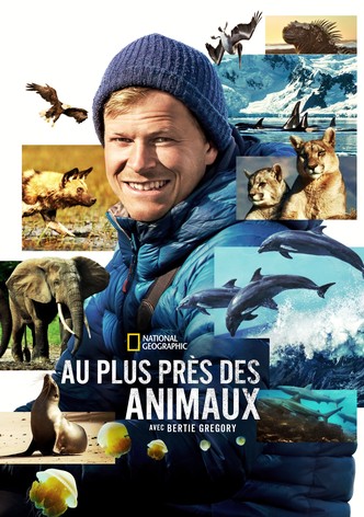 Au plus près des animaux avec Bertie Gregory