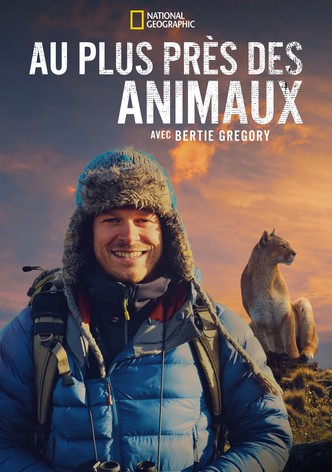 Au plus près des animaux avec Bertie Gregory