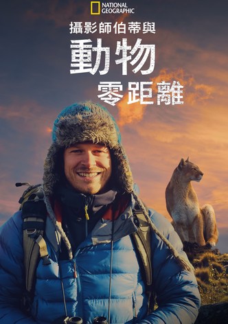 贝尔蒂·格雷戈里：与动物零距离