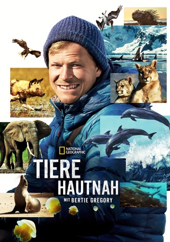 Tiere hautnah mit Bertie Gregory