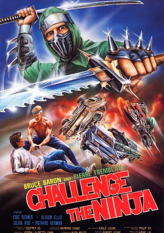 Challenge of the Ninja