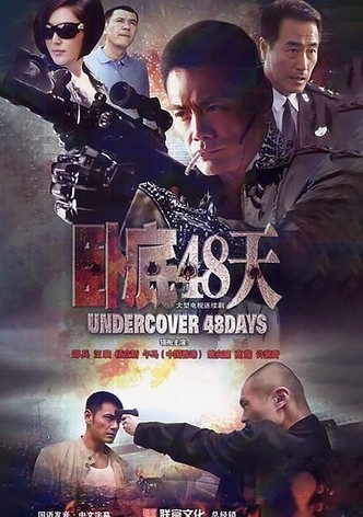 卧底48天