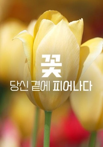 꽃, 당신 곁에 피어나다